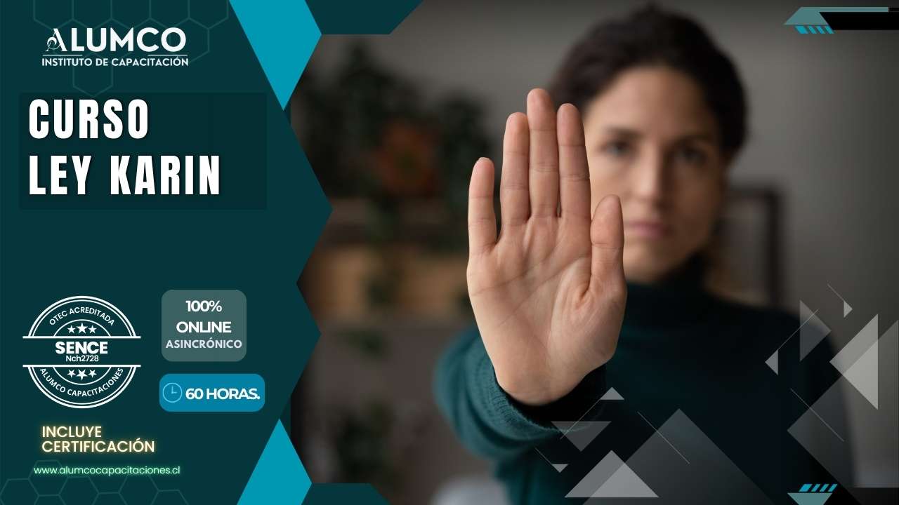 Curso Ley Karín